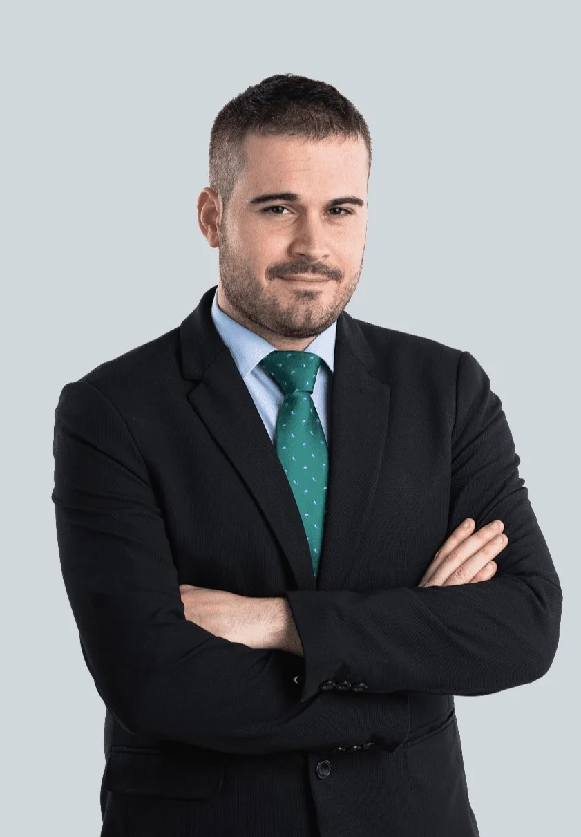 IGNACIO MERINO ROMERO