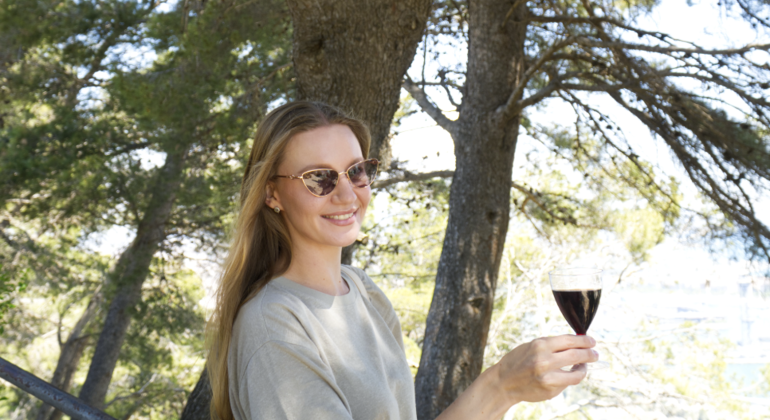 Montjuic Free Tour and Wine Experience in Barcelona Provided by mystic Xperience