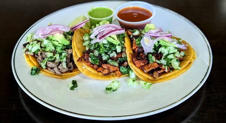 Taco Free Tour Condesa in Mexico City Provided by Nika Tours: Son of Sun